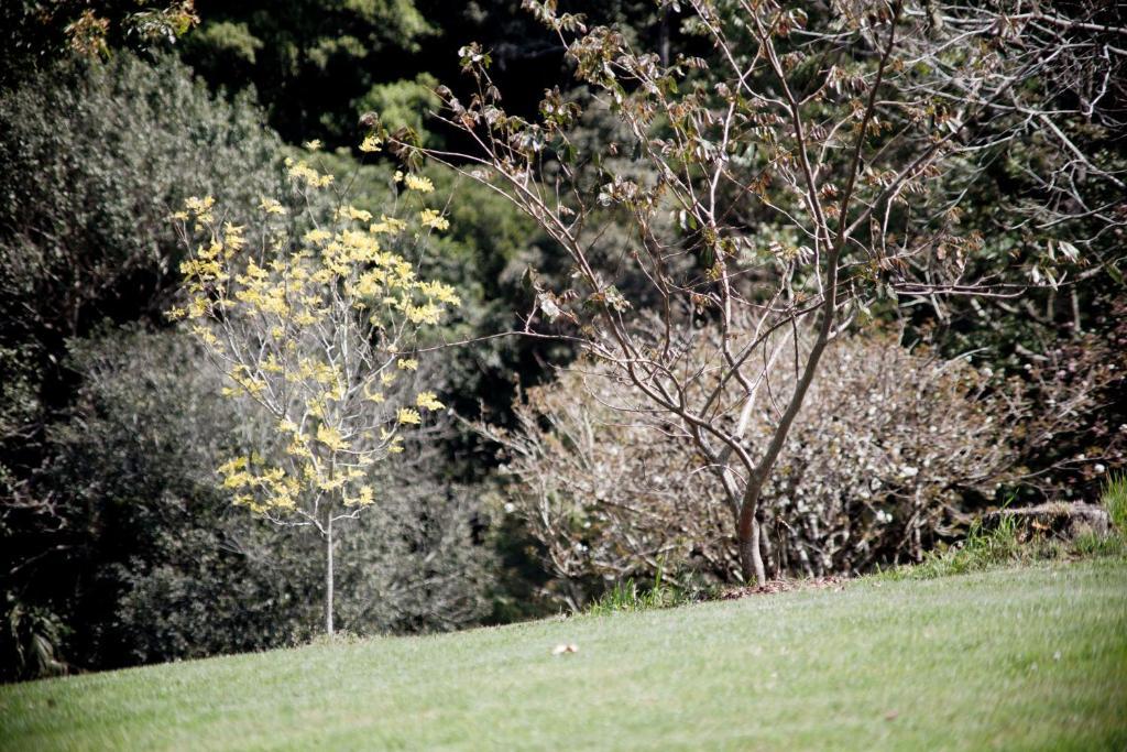 Mt Glorious Getaways Βίλα Mount Glorious Εξωτερικό φωτογραφία