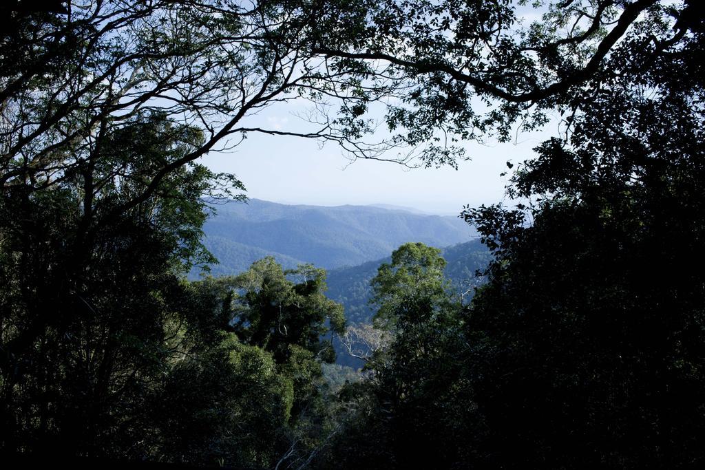 Mt Glorious Getaways Βίλα Mount Glorious Εξωτερικό φωτογραφία