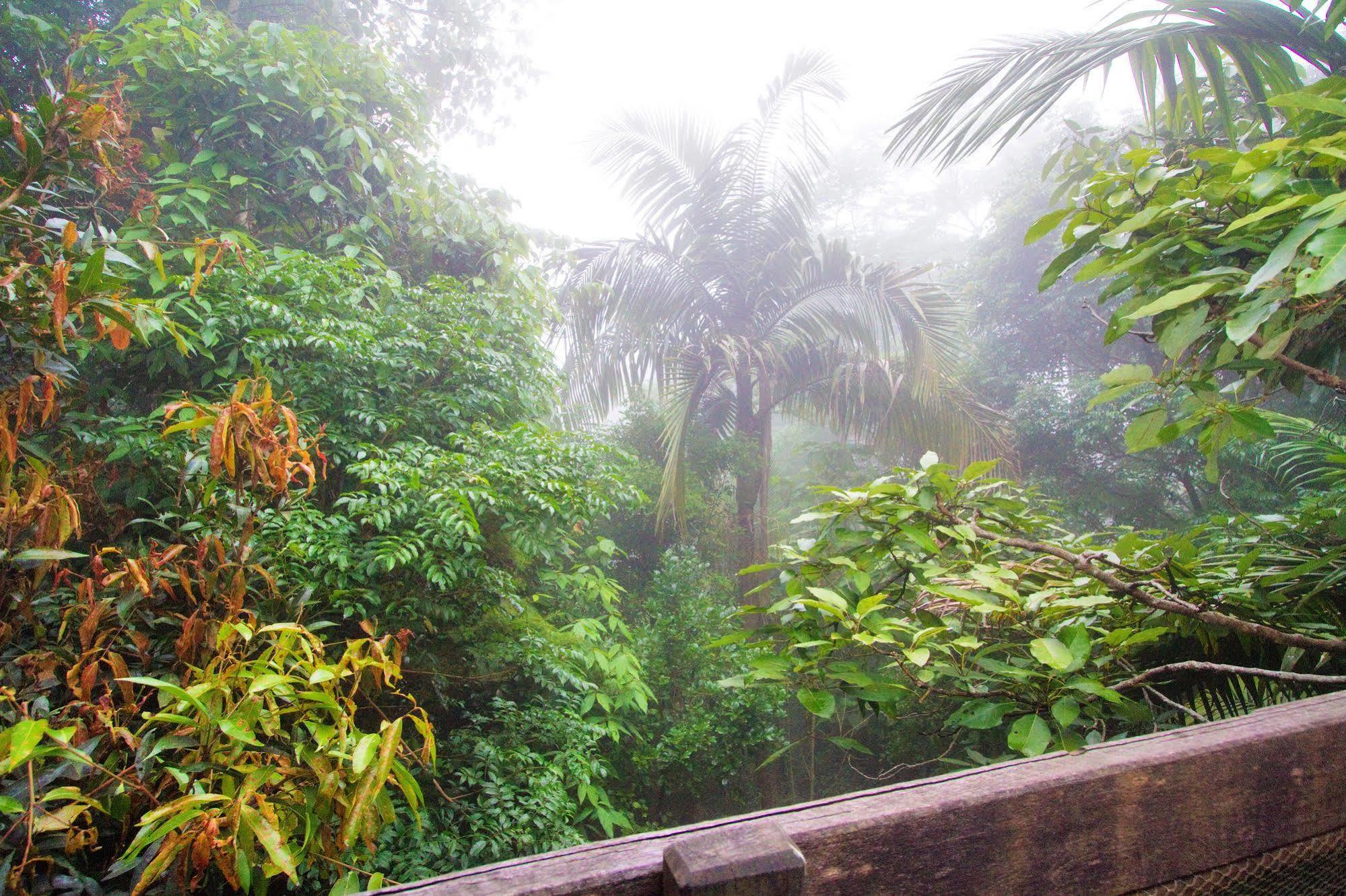 Mt Glorious Getaways Βίλα Mount Glorious Εξωτερικό φωτογραφία